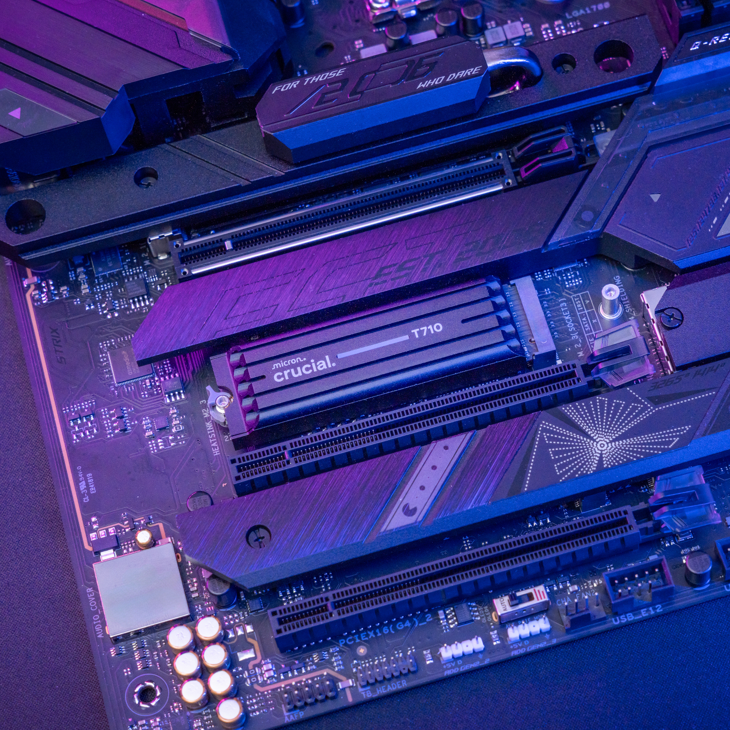 CT1000T710SSD5_Crucial-T710-1TB-M.2-NVMe-Gen5-NAND-SSD-with-Heatsink-Black_wr_06a.jpg