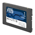 P220S1TB25_wr_01.jpg