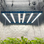 P55-480W-281B-UV-IR_wr_01a.jpg