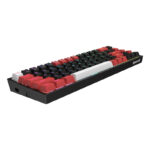 RD-K631RGB-PRO-BRW_wr_01.jpg