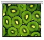 Esquire Electric Projector Screen 300 X 169
